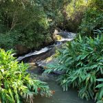 WhatsApp Image 2020-06-15 at 21.32.10 (2)