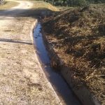 WhatsApp Image 2020-06-15 at 21.32.12 (1)