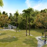 muma - mirantes - implantacao - palmeiras