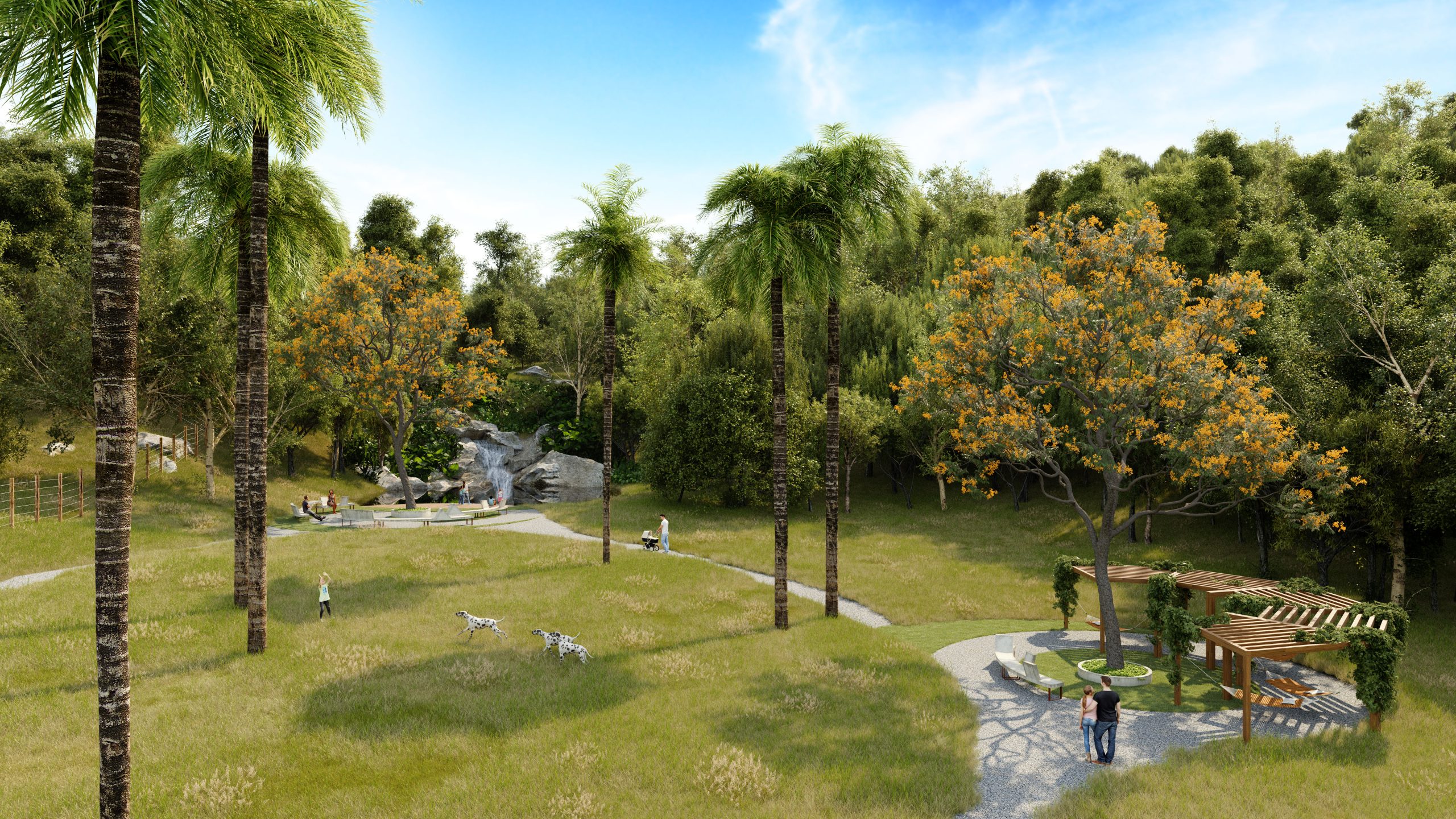 muma - mirantes - implantacao - palmeiras