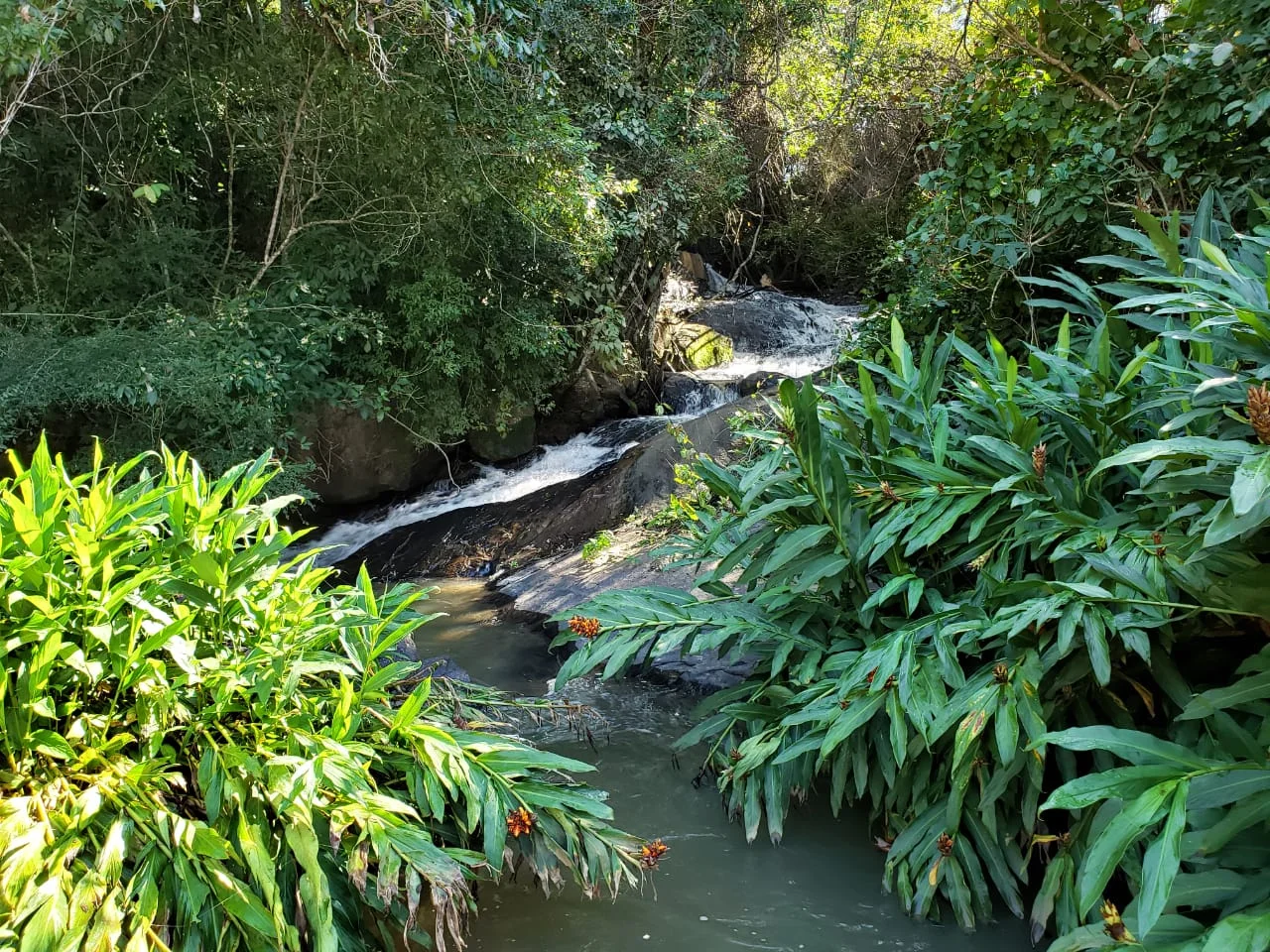 WhatsApp Image 2020-06-15 at 21.32.10 (2)