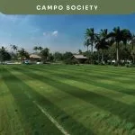 WhatsApp Image 2026-04-08 at 09.53.23